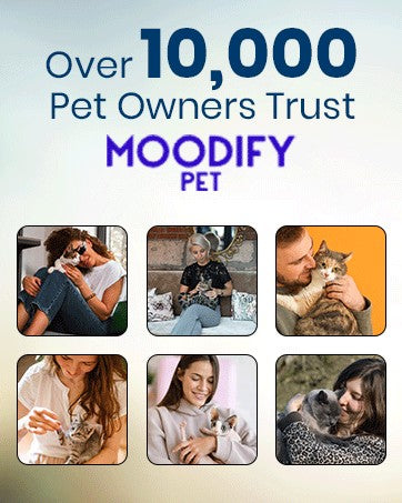 MoodifyPet Smell Nothing. That’s the Point. A 30-day odor neutralization system that works in the air around your litter box—no sprays, no fragrances, no daily effort. MoodifyPet