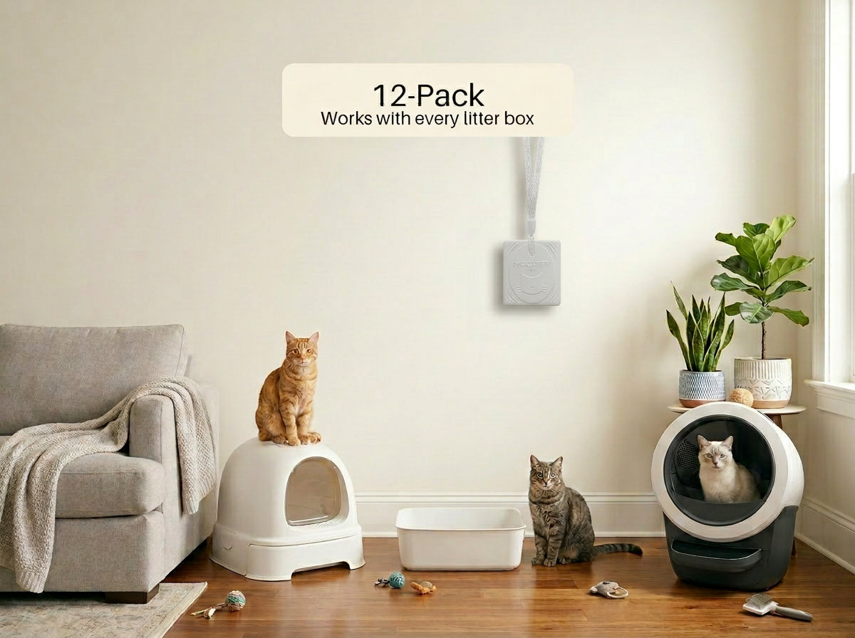 MoodifyPet 12-Pack — maximum coverage system