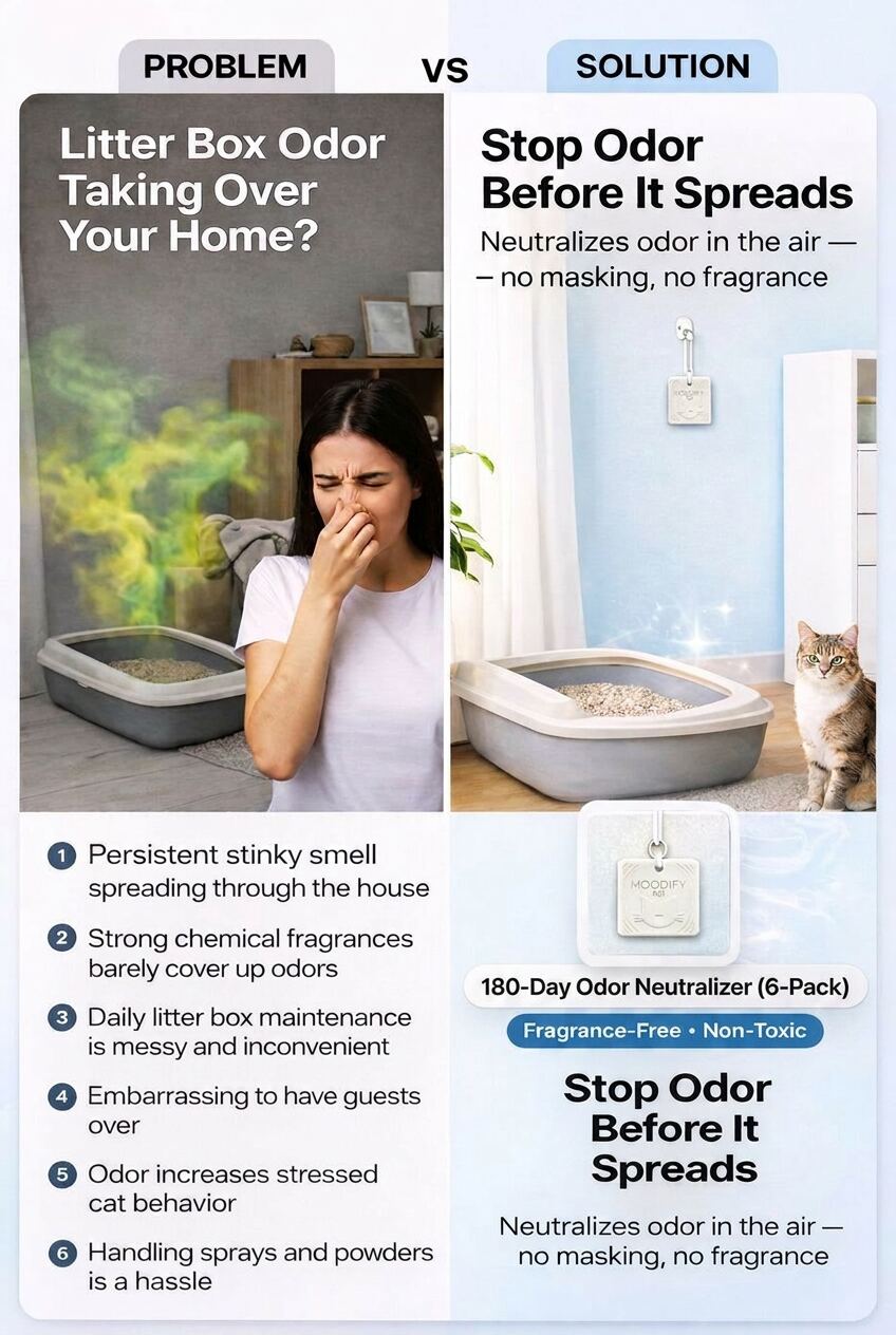 Problem vs Solution — 180 days of odor control